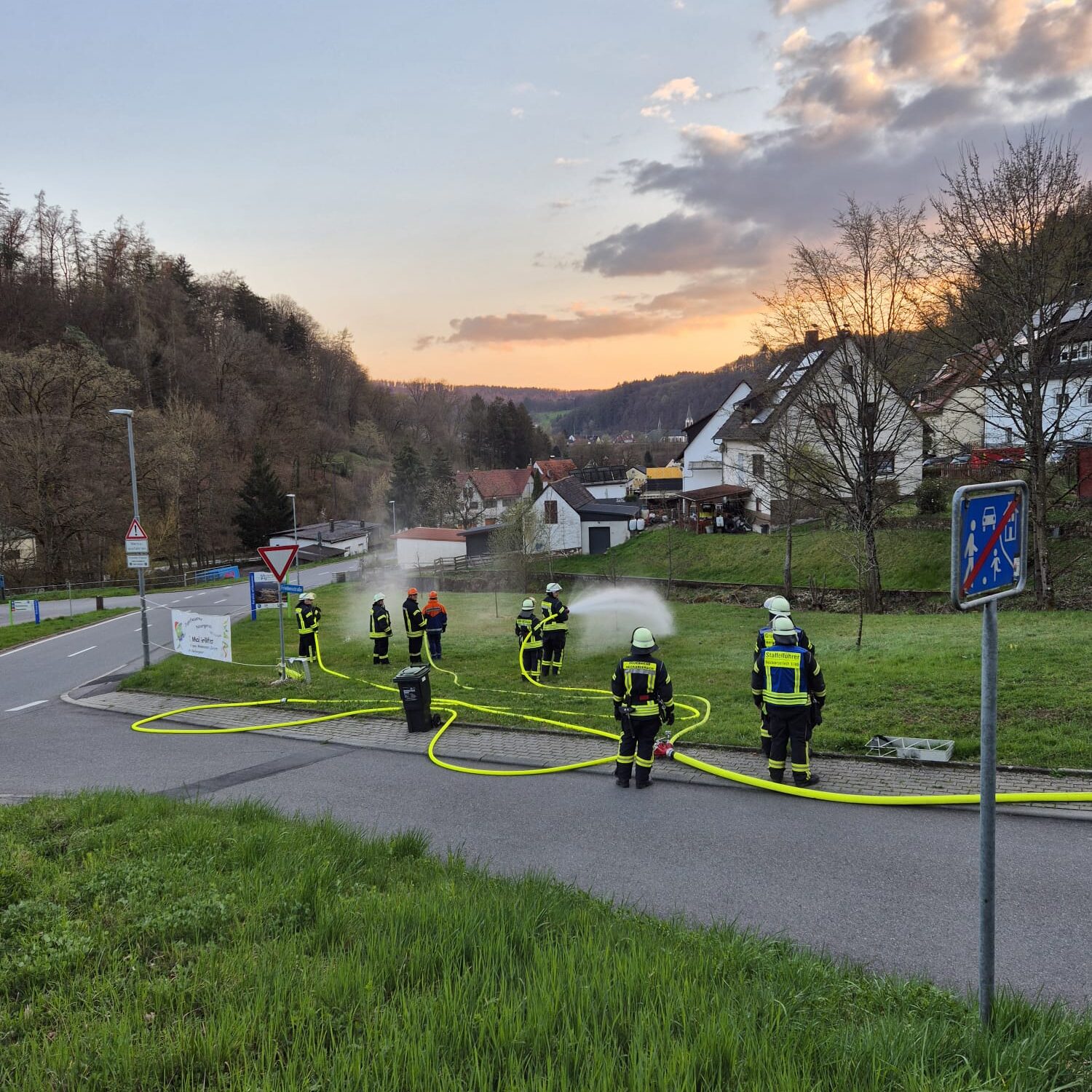 Mehrere Feuerwehrleute stehen auf einer Wiese und spritzen Wasser darauf.